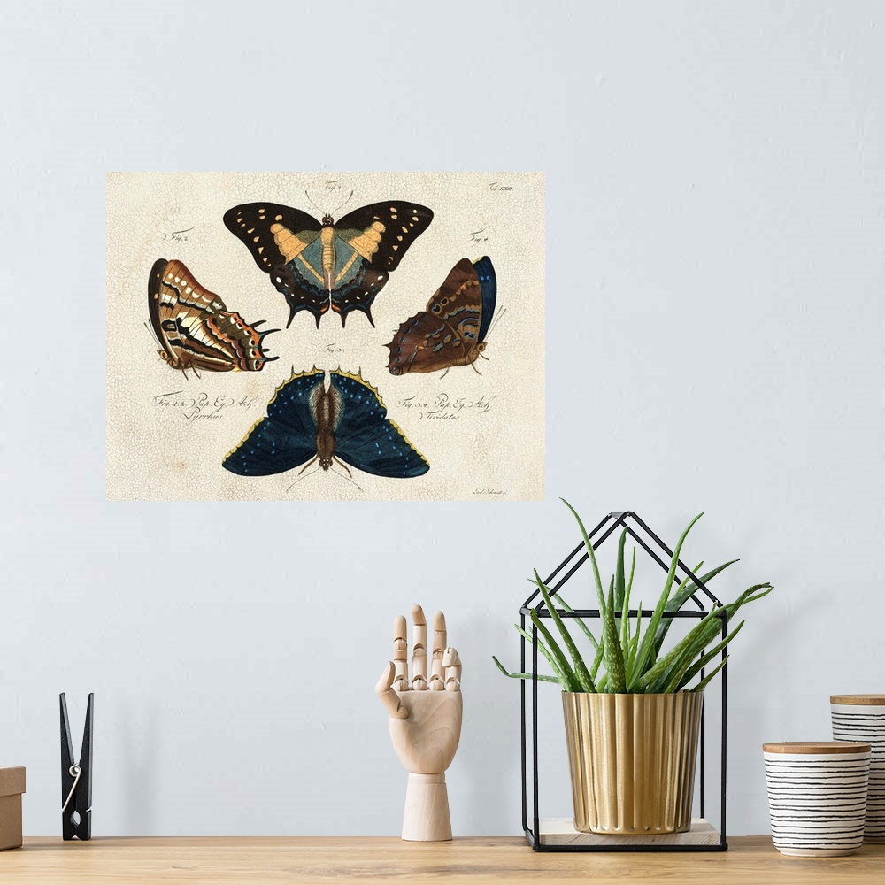 A bohemian room featuring Crackled Butterflies IV