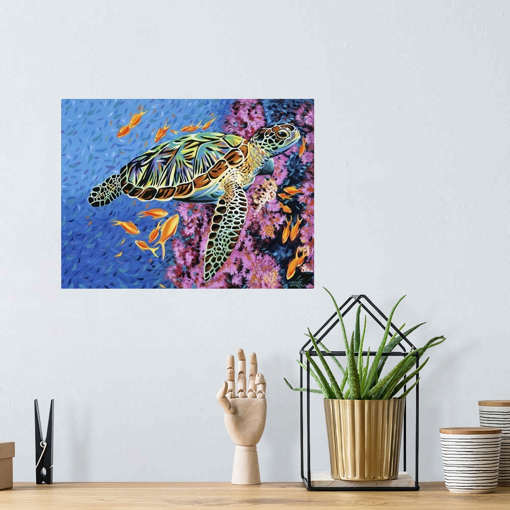 A bohemian room featuring Contemporary painting of a sea turtle floating in the ocean with tropical fish and coral.