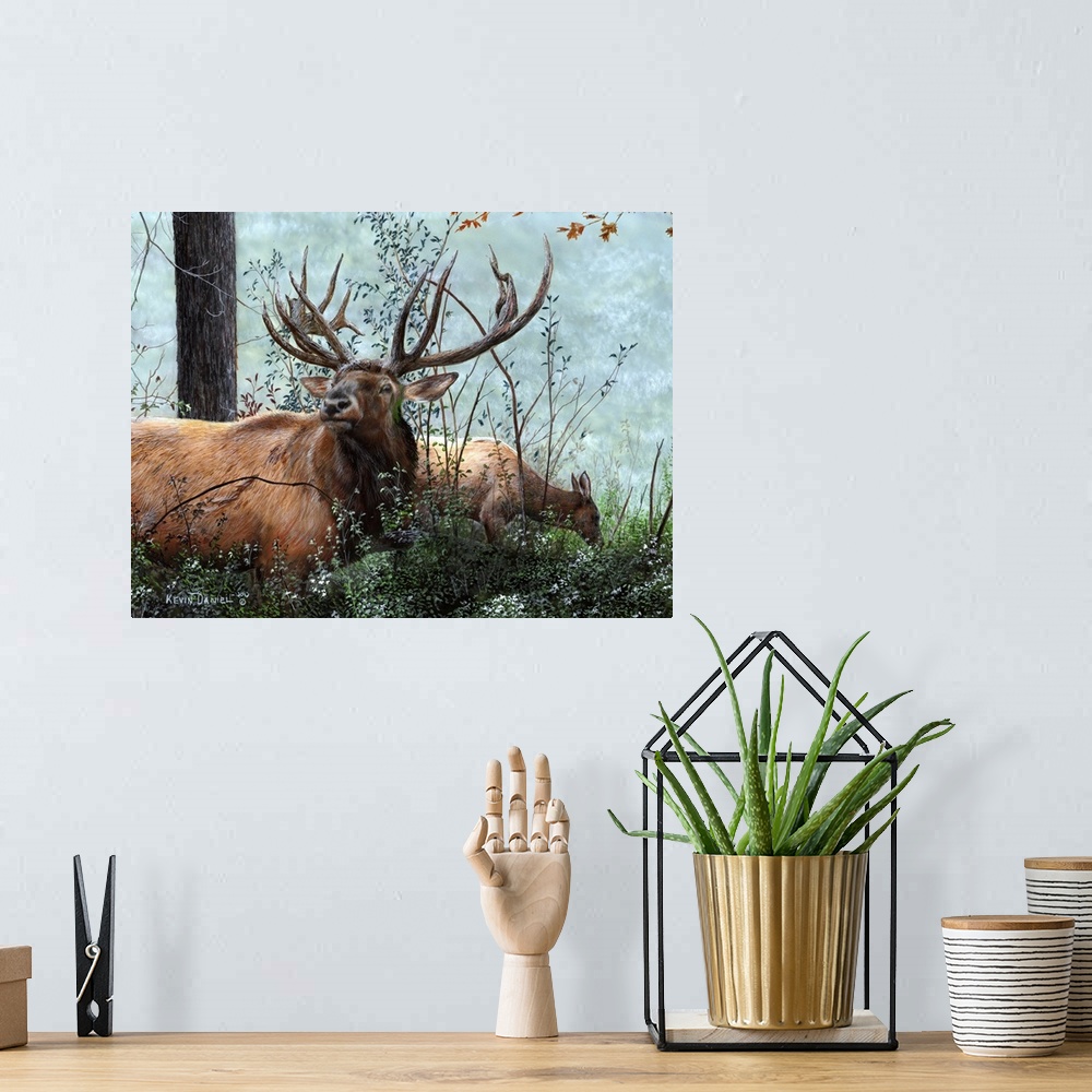 A bohemian room featuring Elk Foraging