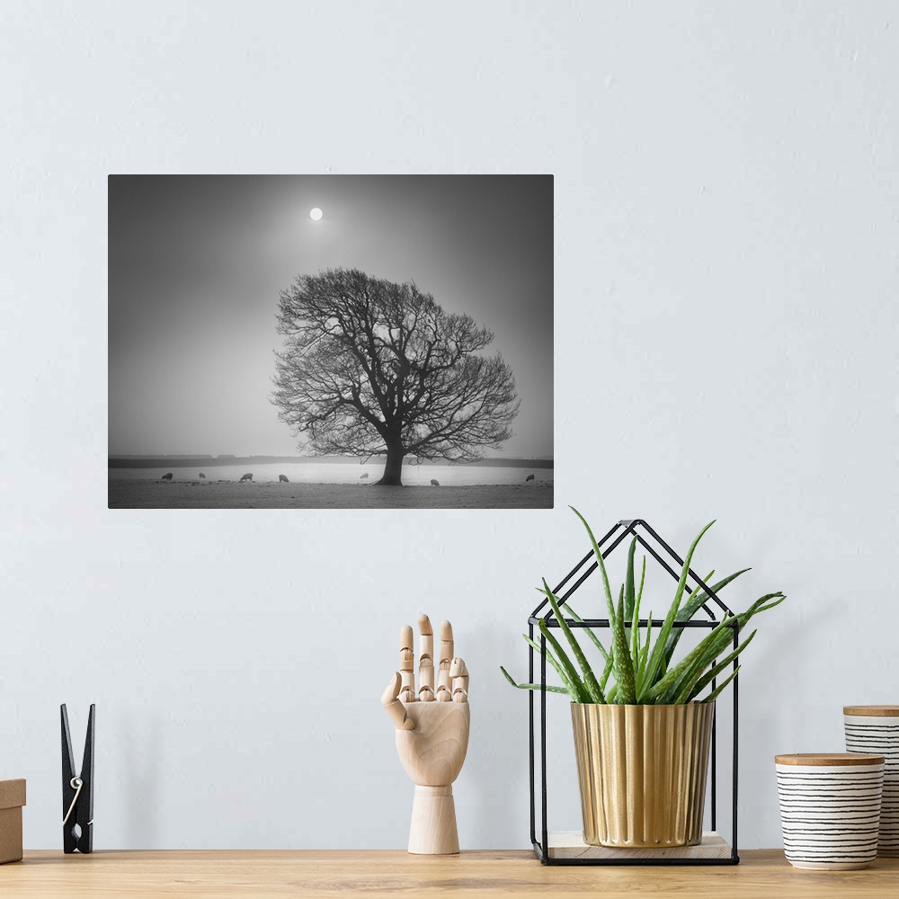 A bohemian room featuring A black and white photograph of a lone tree standing in a field with the moon hanging in a foggy ...