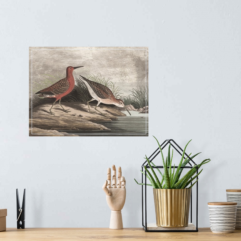 A bohemian room featuring Gilded Sandpipers II