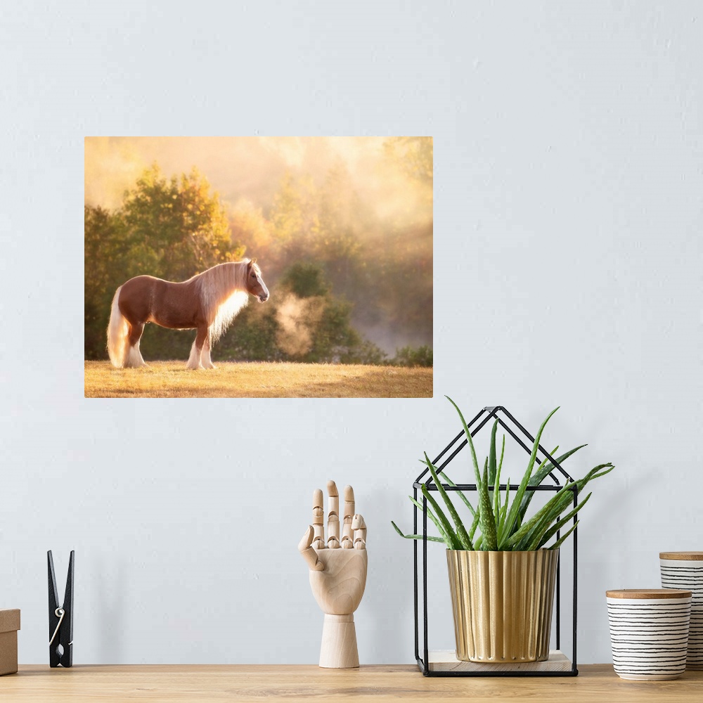 A bohemian room featuring Golden Lit Horse I