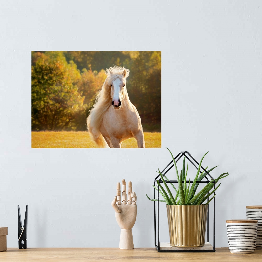 A bohemian room featuring Golden Lit Horse IV