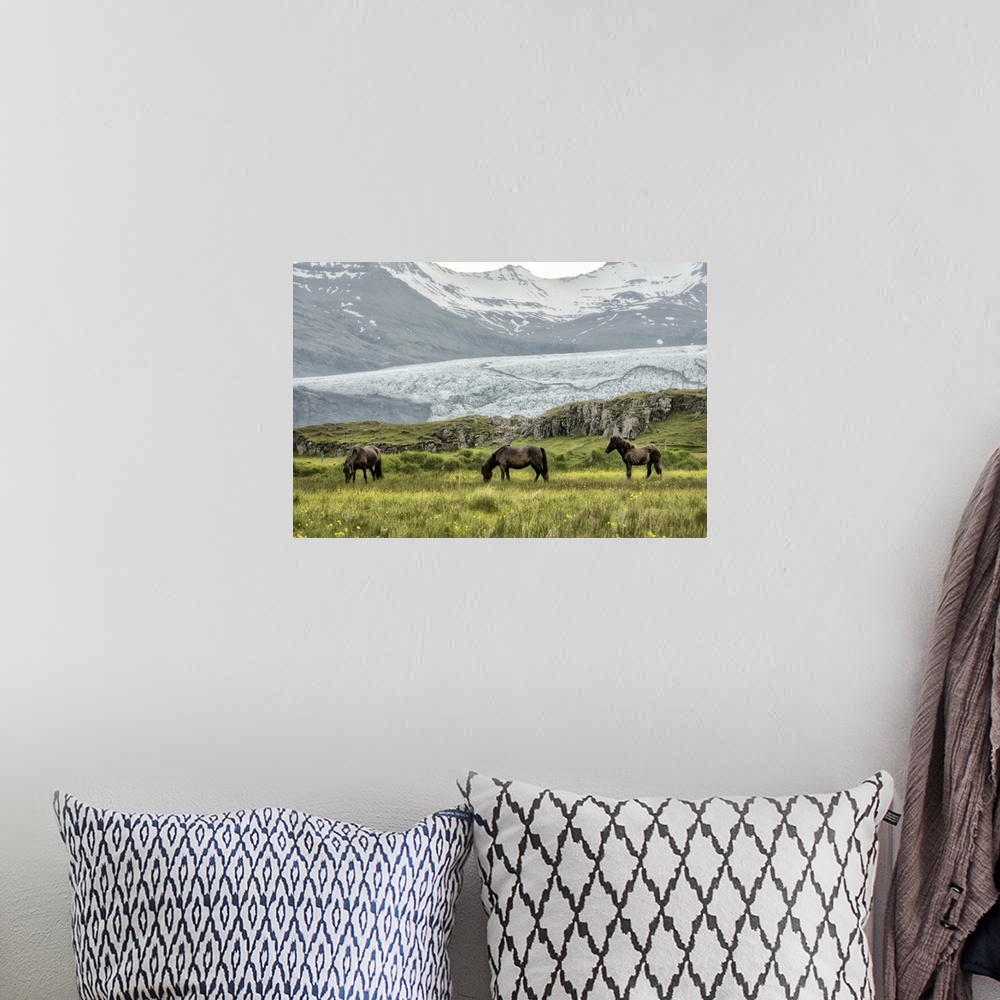 A bohemian room featuring Photograph of brown horses grazing in a grassy field with snowy mountains in the background.