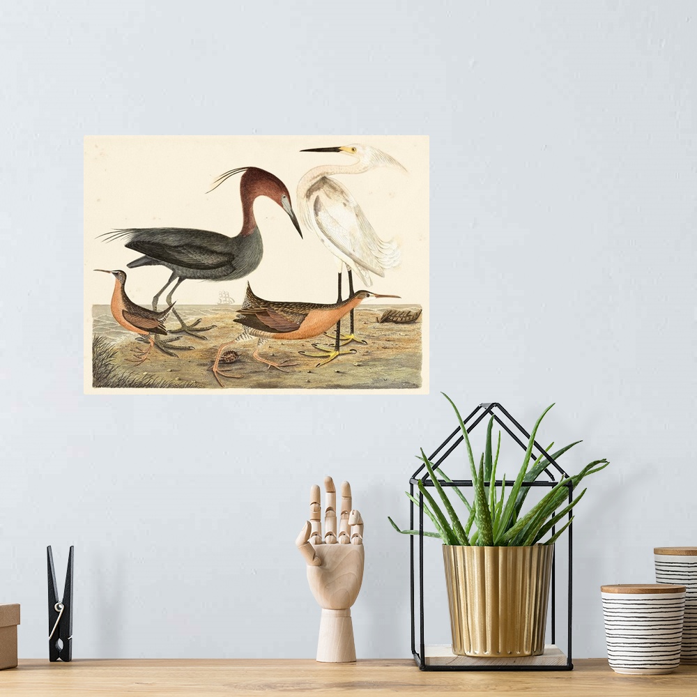 A bohemian room featuring Heron Family IV