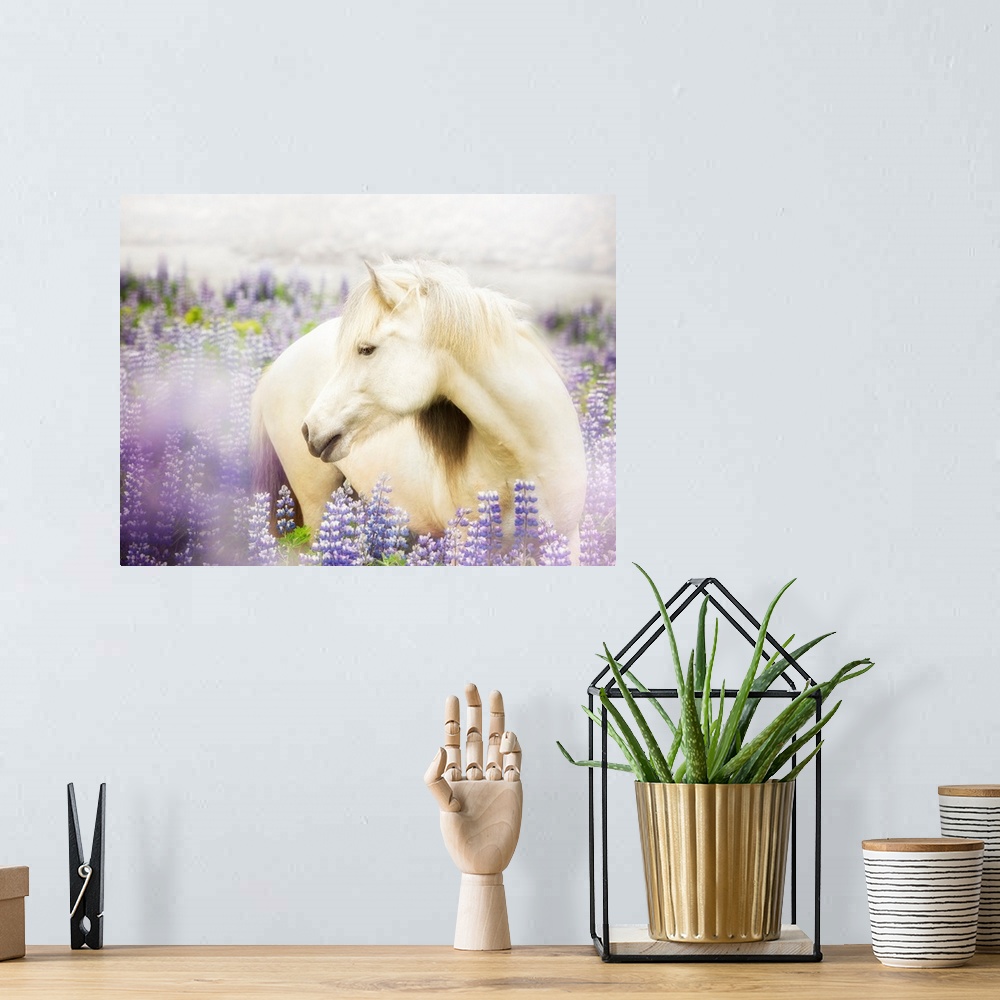 A bohemian room featuring Horse In Lavender III