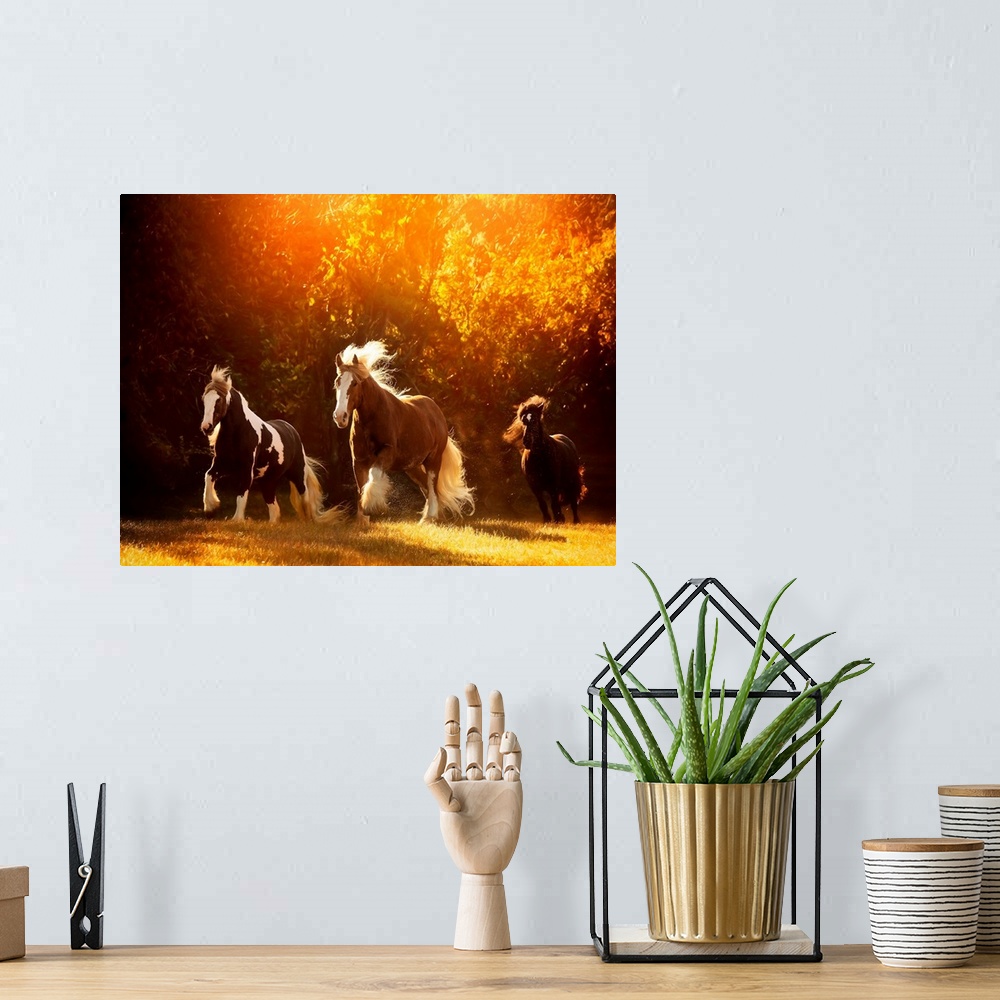 A bohemian room featuring Horse Motion V