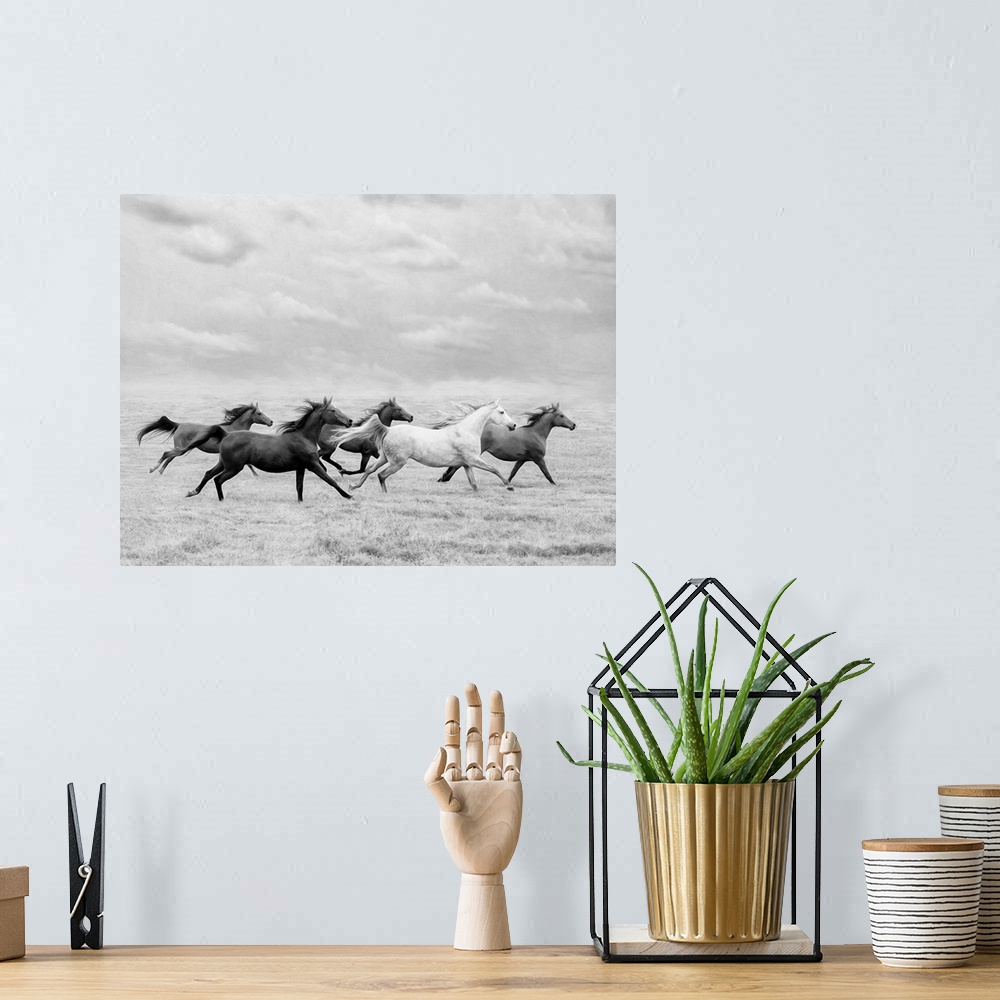 A bohemian room featuring Horse Run I