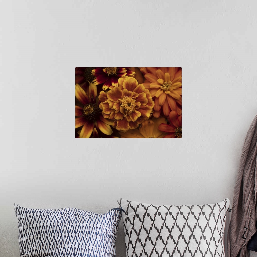 A bohemian room featuring Marigold Petals