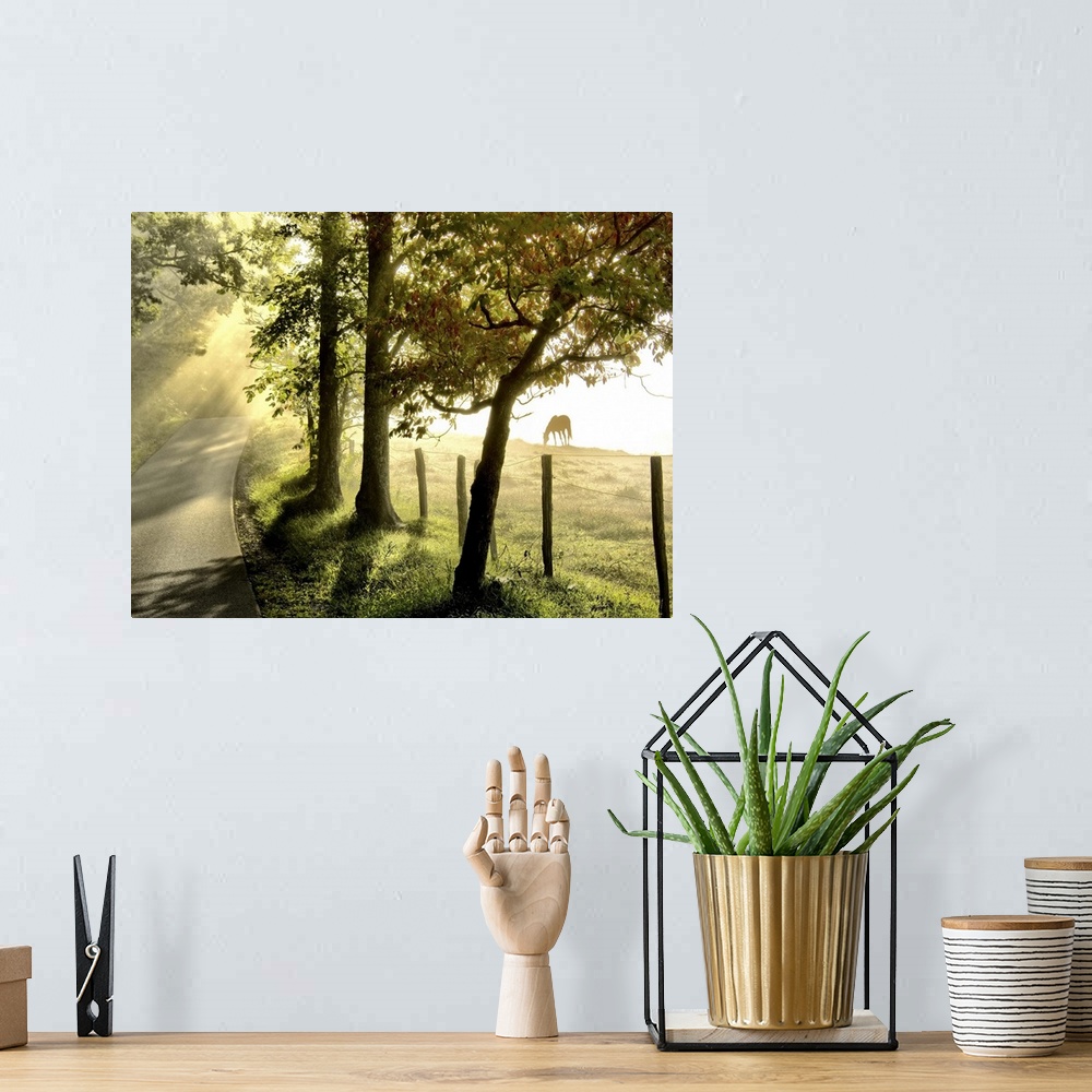 A bohemian room featuring Photograph of a countryside in early morning light with horses grazing in a field.