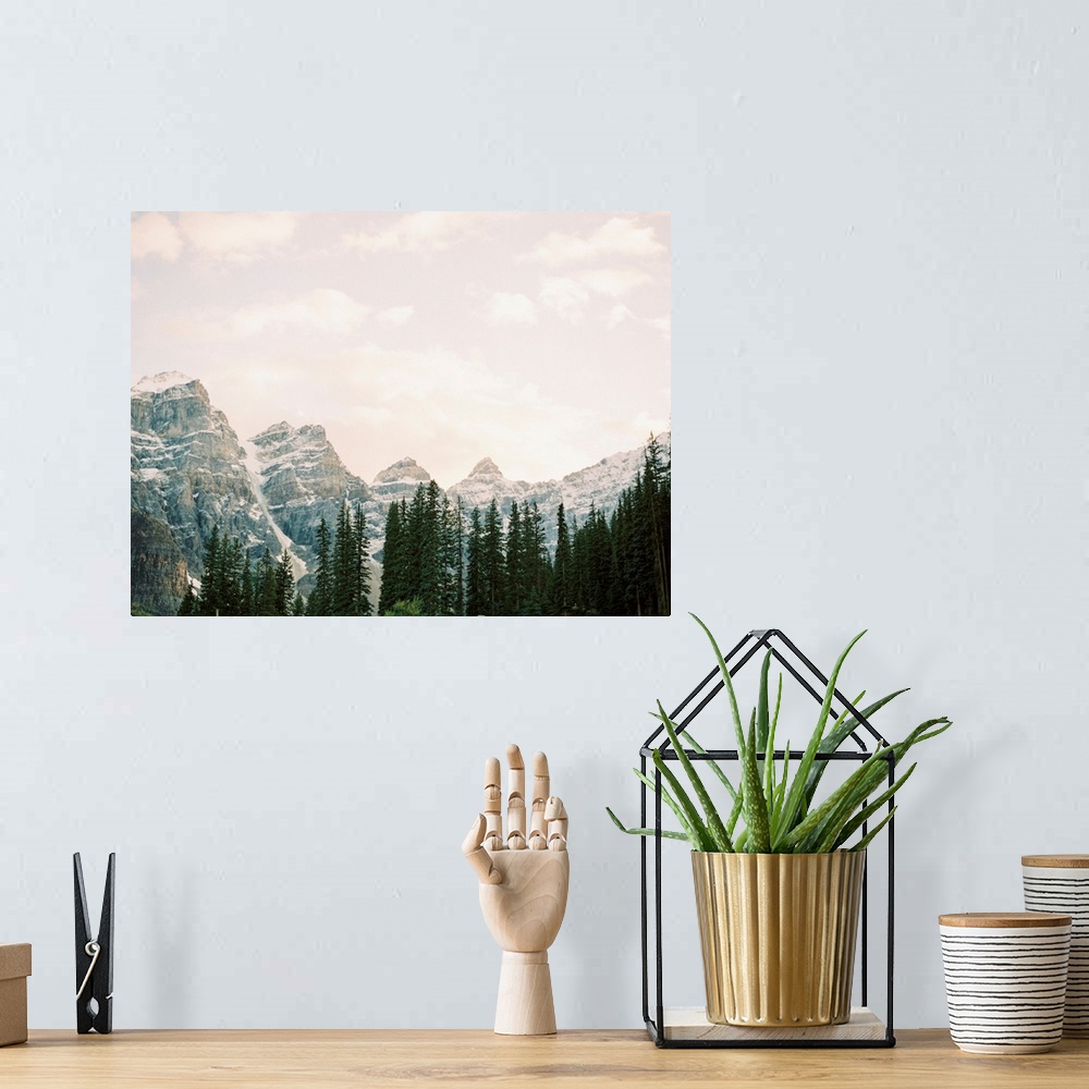 A bohemian room featuring Photograph of tall evergreen trees in front of snow covered mountains, Lake Louise, Canada