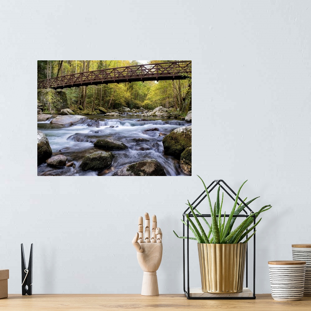 A bohemian room featuring Photograph of a rushing river flowing under a bridge in a dense forest.