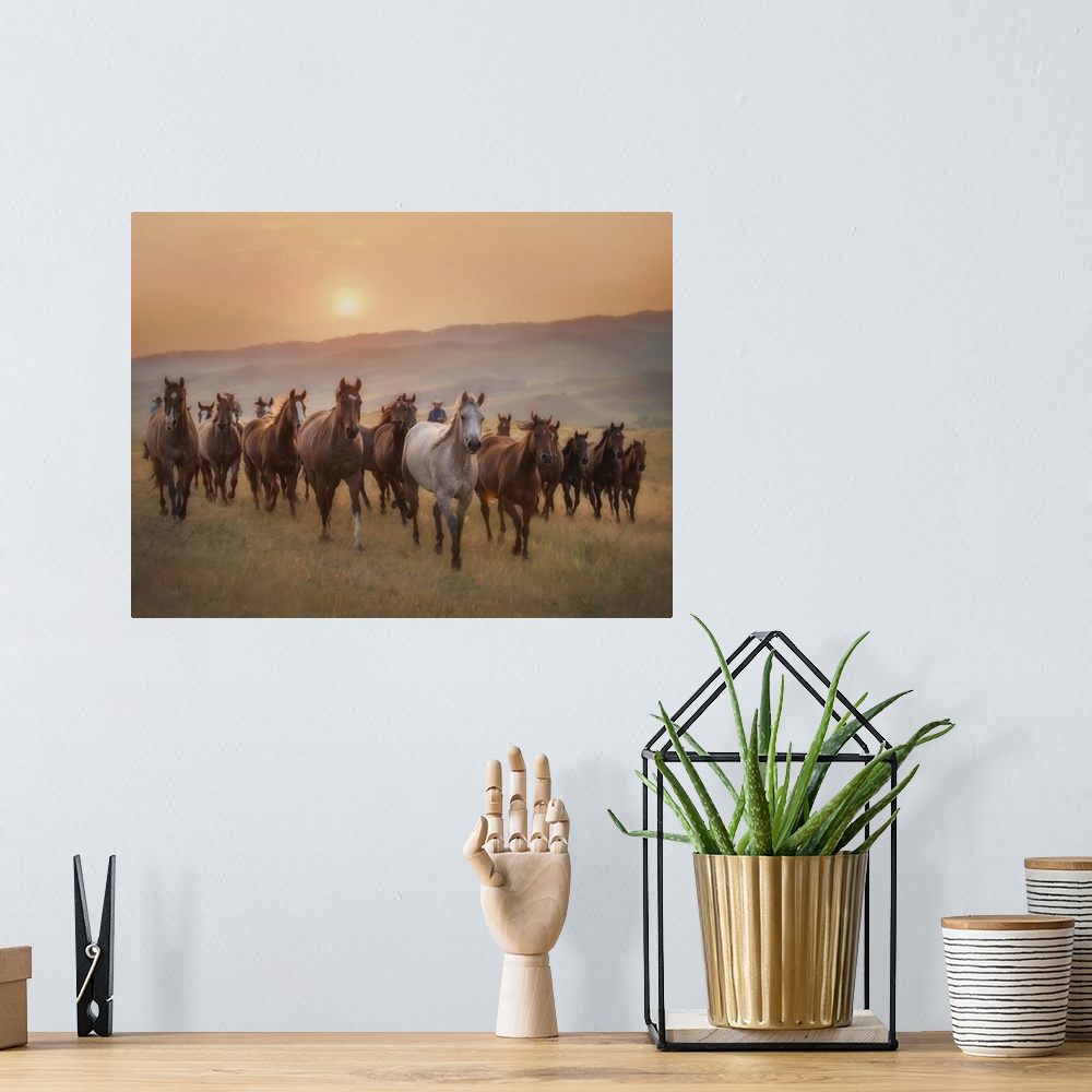 A bohemian room featuring Sunkissed Horses II