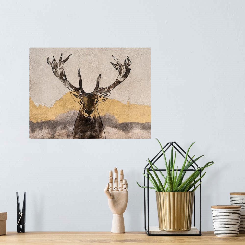 A bohemian room featuring White Tailed Deer