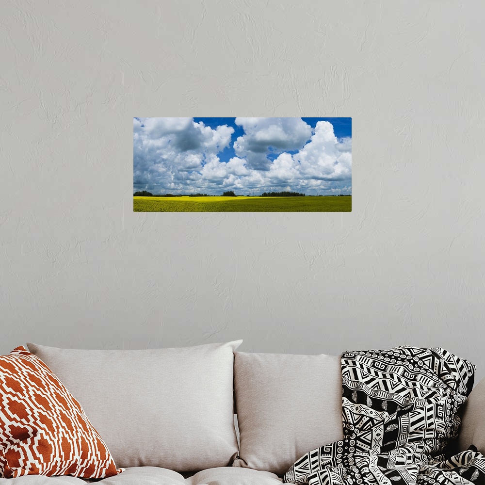 A bohemian room featuring A canola field under a cloudy filled with shadows of the clouds cast on the field, painting effec...