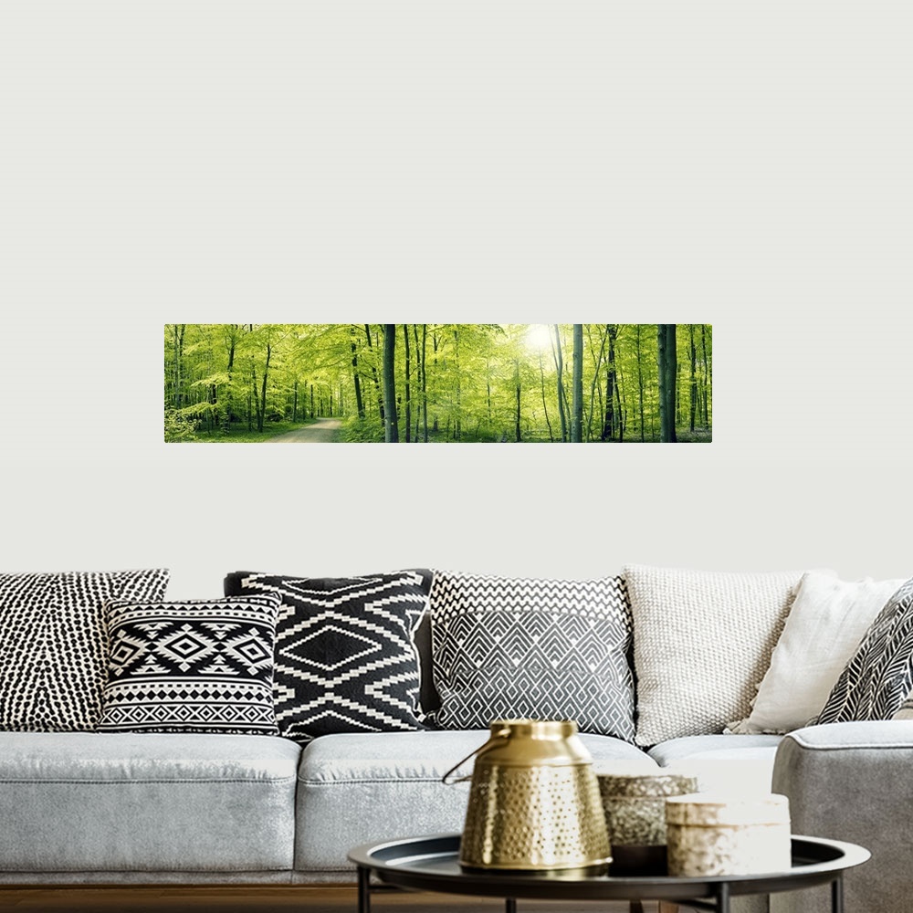 A bohemian room featuring Panorama landscape of a beech forest in the spring.