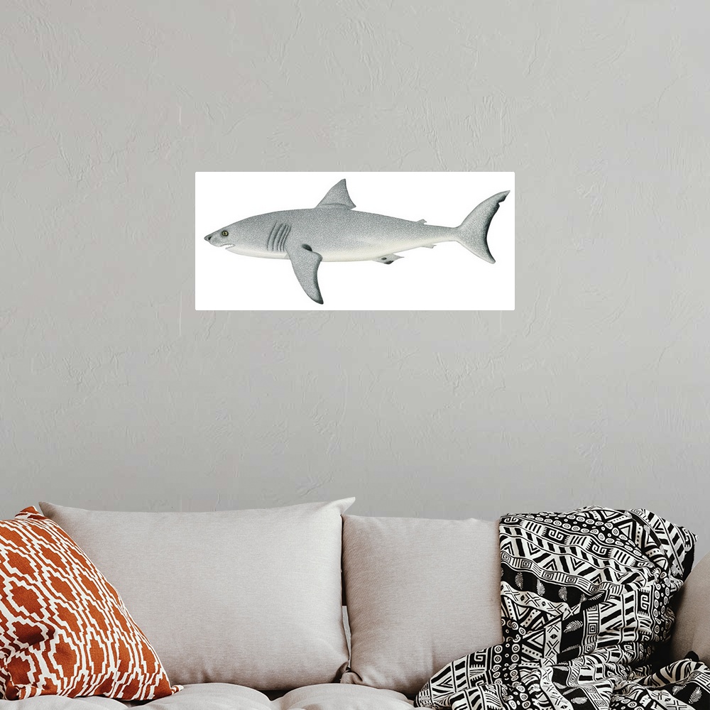 A bohemian room featuring White Shark (Carcharodon Carcharias)