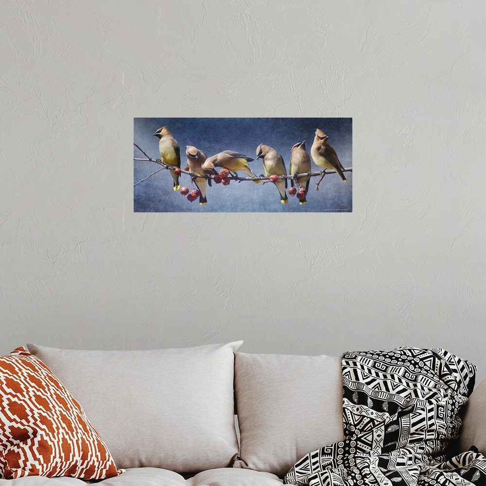 A bohemian room featuring Contemporary artwork of a waxwings perched on a tree branch.