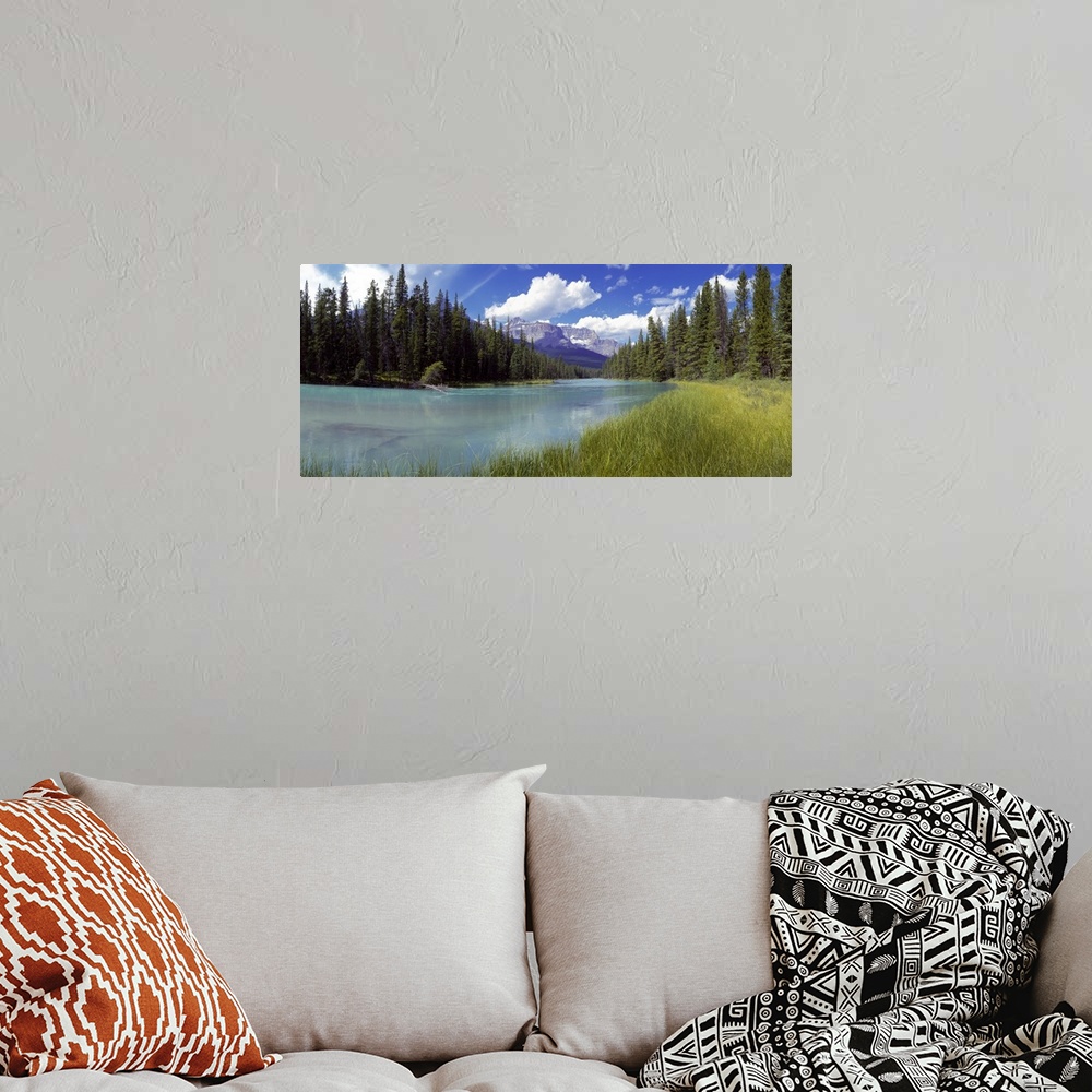A bohemian room featuring Pine trees on Athabasca Riverbank with mountains in the background, Canadian Rockies, Jasper Nati...
