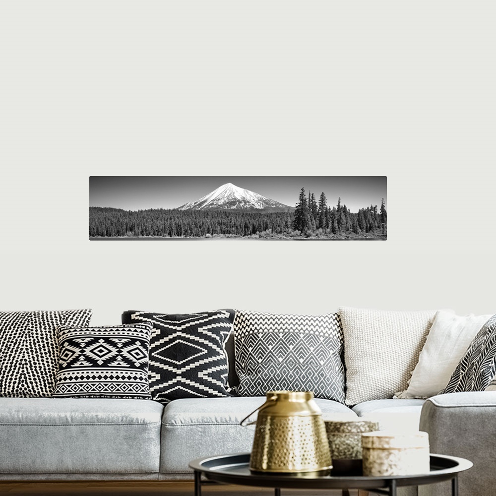 A bohemian room featuring Trees in front of a snowcapped mountain, Mt McLoughlin, Oregon