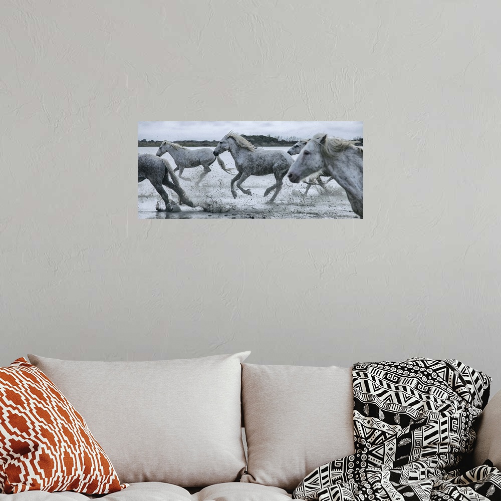 A bohemian room featuring The White Horses of the Camargue running in the water in the South of France.