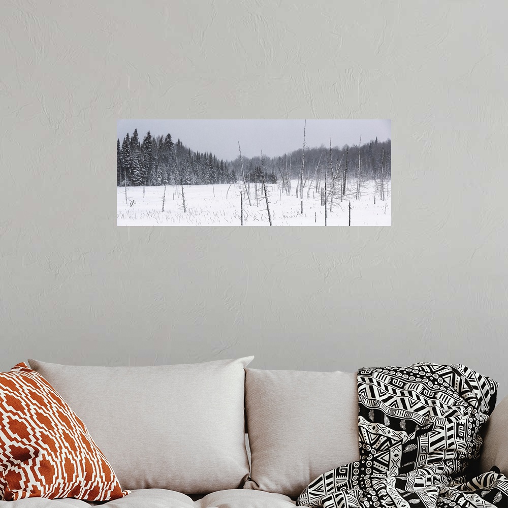 A bohemian room featuring Field of snow in a forest during a winter storm; Mont Saint Saveur, Quebec, Canada