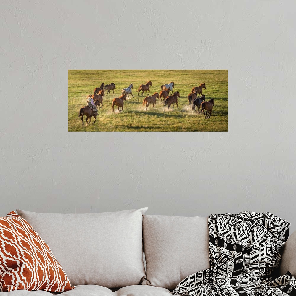 A bohemian room featuring Photograph of a cowgirl with a lasso herding horses through a field.
