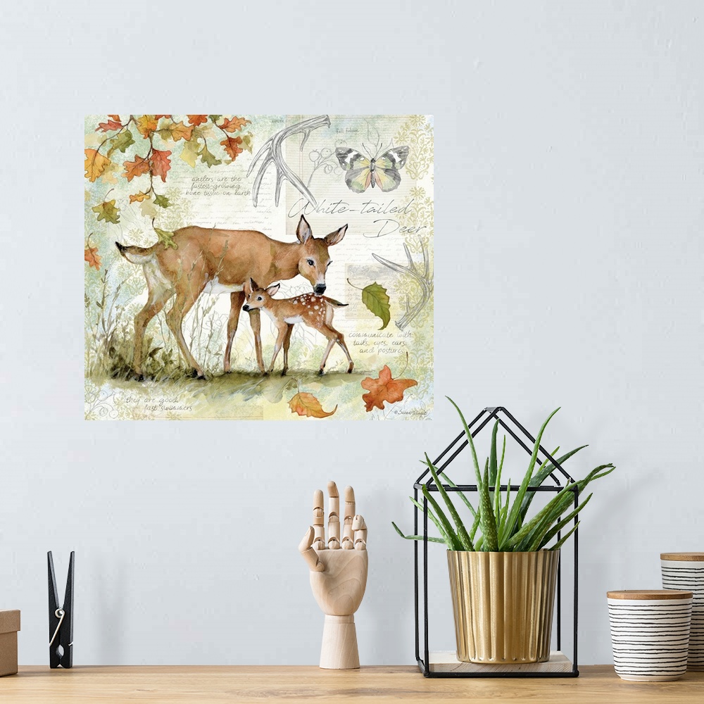A bohemian room featuring A field guide rendering of a touching deer and fawn scene