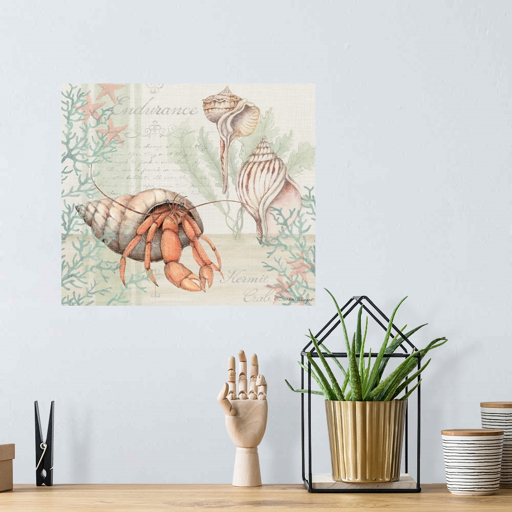 A bohemian room featuring This crab shell scene brings the coast into your home.