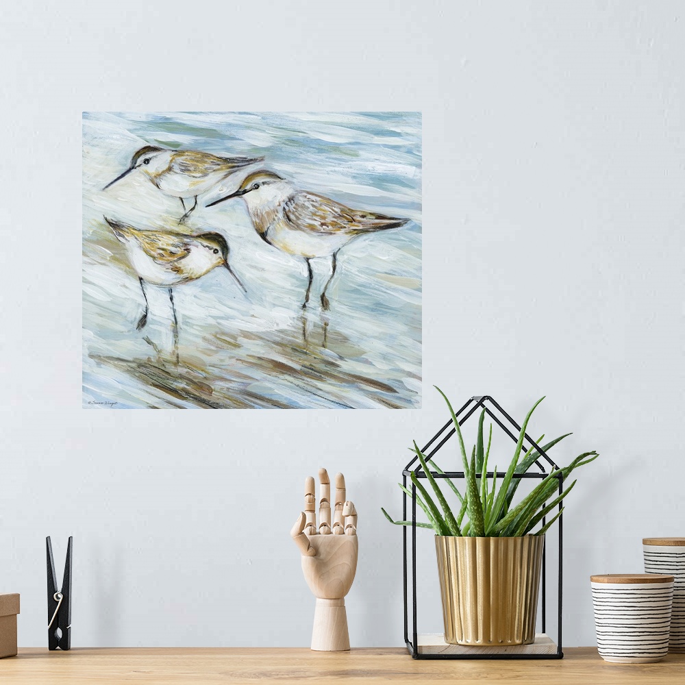 A bohemian room featuring Charming sandpipers enjoy having their seaside setting.