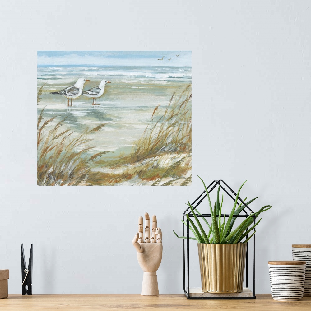 A bohemian room featuring Seagulls pose in their seaside setting.