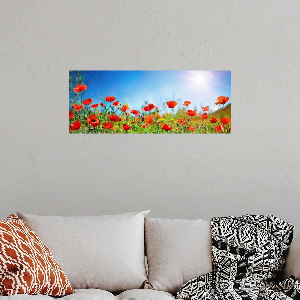 A bohemian room featuring Poppies in a meadow with sunlit blue sky.