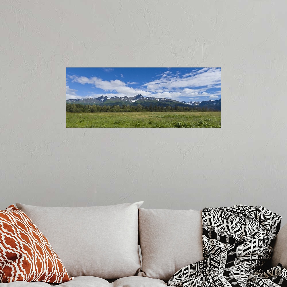 A bohemian room featuring Field with a mountain range in the background, Kenai Peninsula, Seward, Alaska, USA