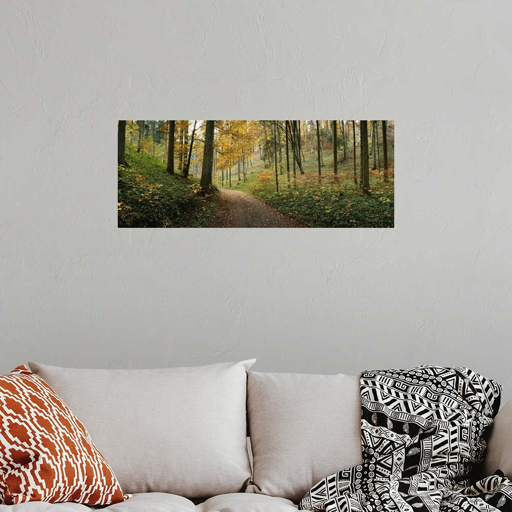 A bohemian room featuring Panoramic photograph of path winding through autumn colored forest.