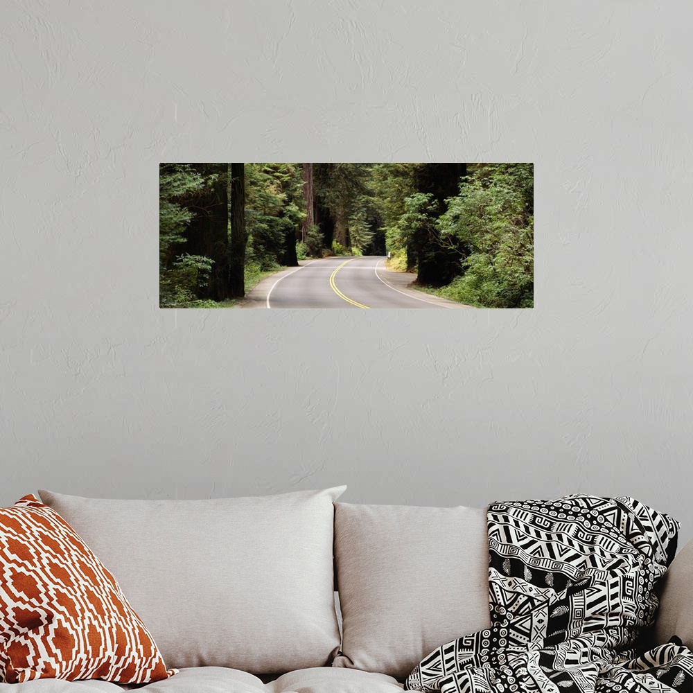A bohemian room featuring Road passing through a forest, Prairie Creek Redwoods State Park, California