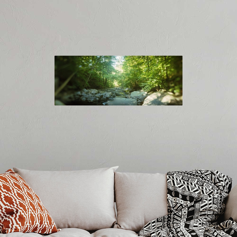 A bohemian room featuring Stream flowing through a forest Kaaterskill Falls Catskill Mountains Hunter Greene County New Yor...