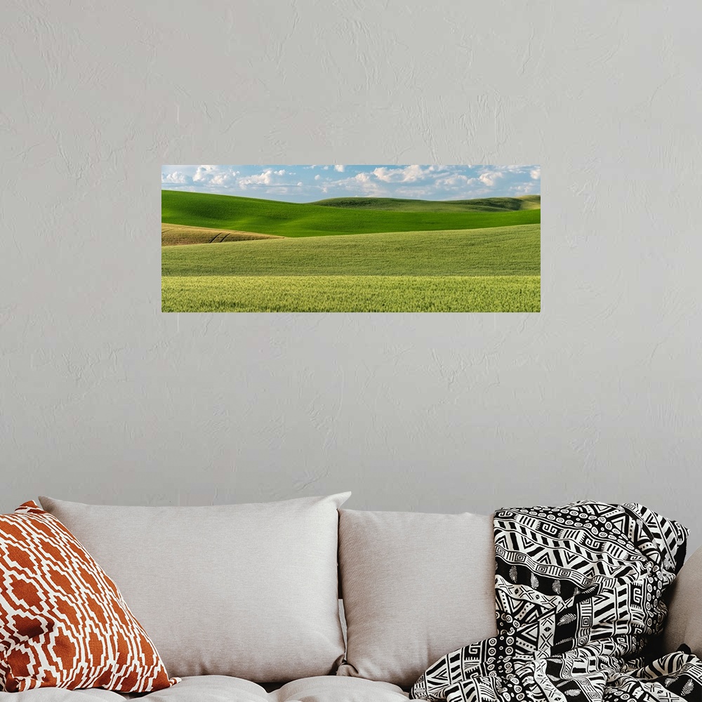 A bohemian room featuring Farmland Skies