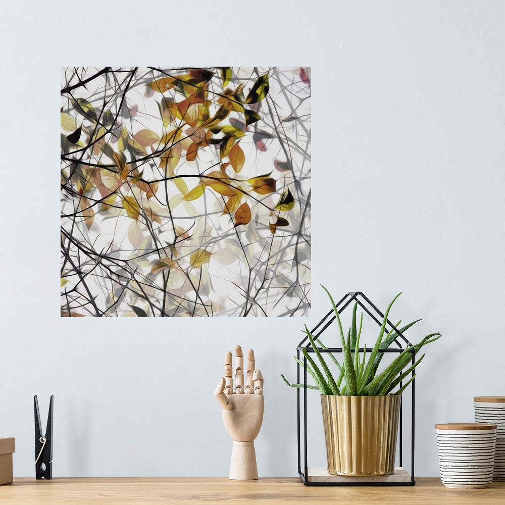 A bohemian room featuring Photo of branches with fall leaves, edited for a smooth effect.