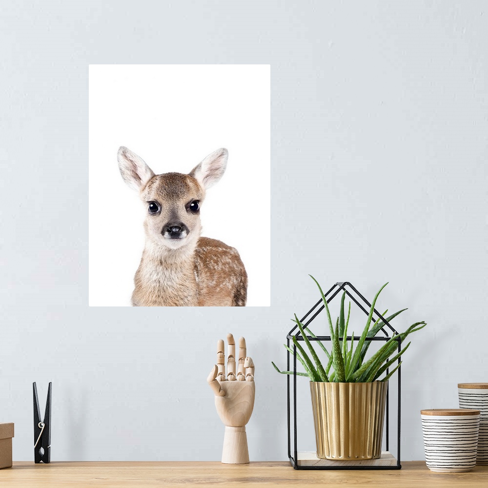 A bohemian room featuring Baby Deer