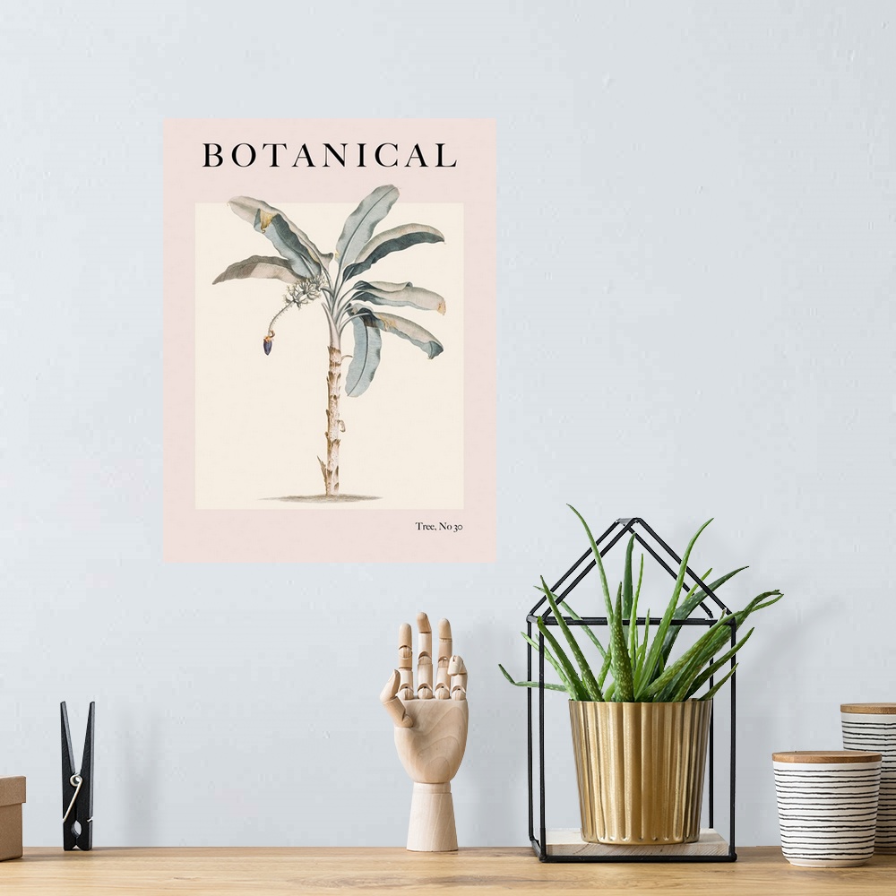 A bohemian room featuring Botanical Palm