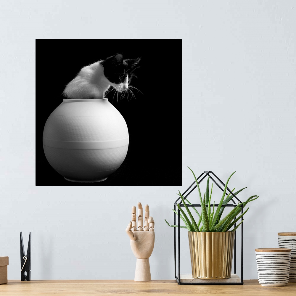 A bohemian room featuring A black and white domestic cat poking out of a round white vase.