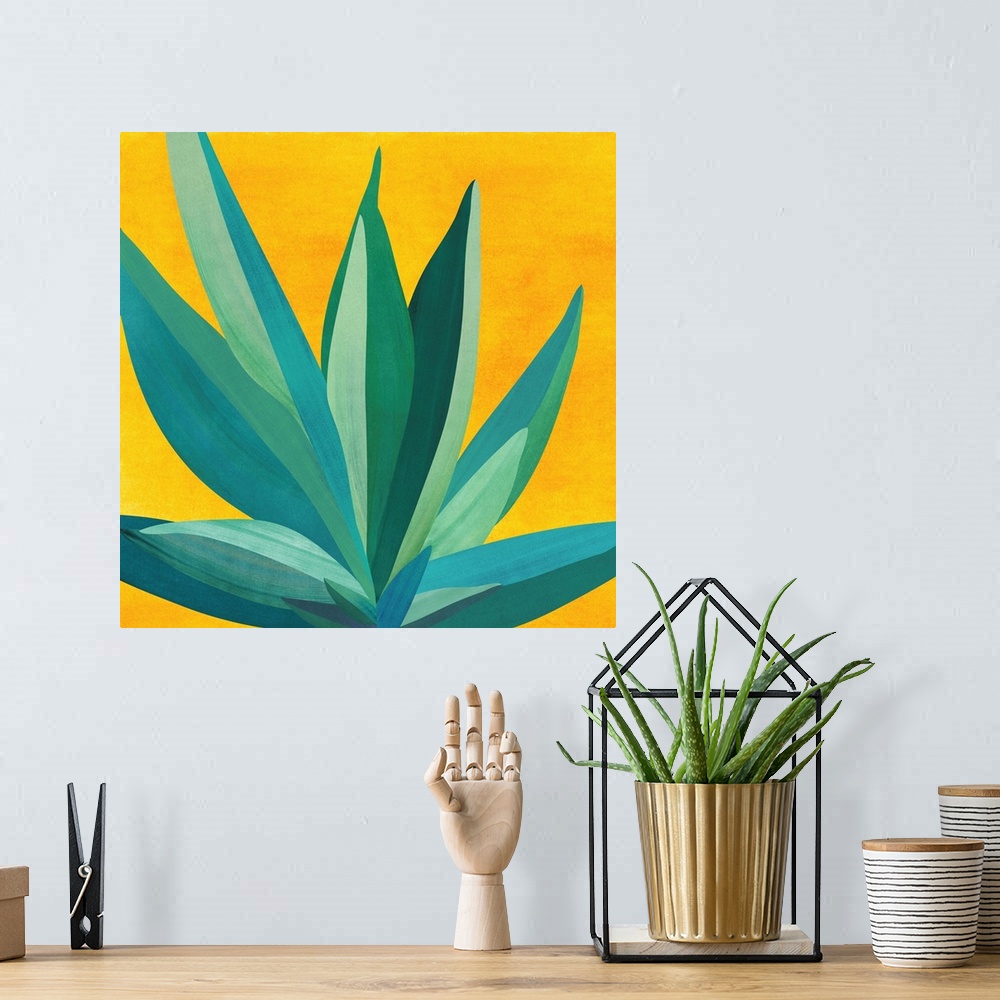 A bohemian room featuring Colorful Agave 6