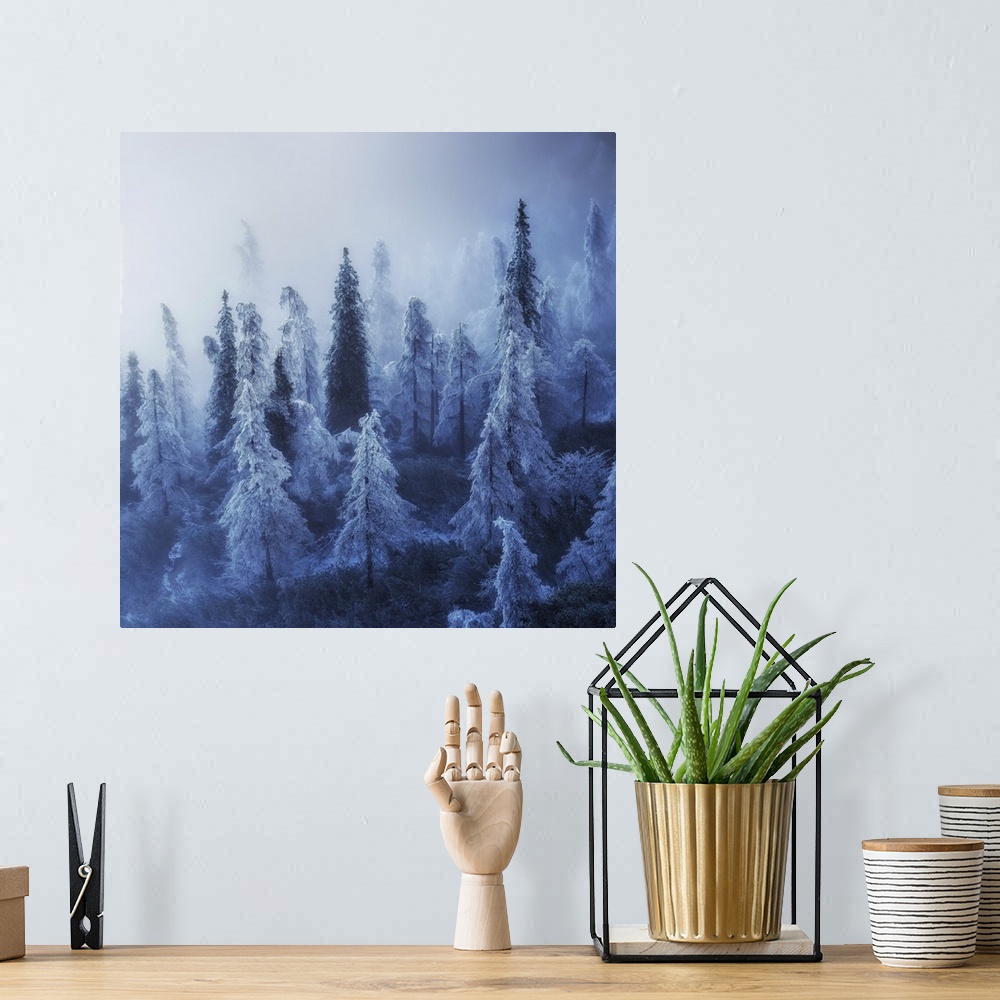 A bohemian room featuring Winter mist in the high mountains of the Alps.