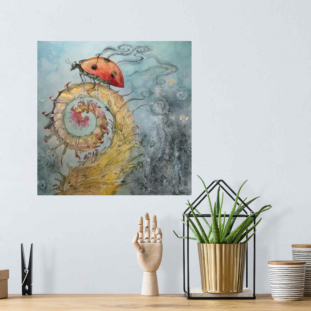 A bohemian room featuring Ladybug