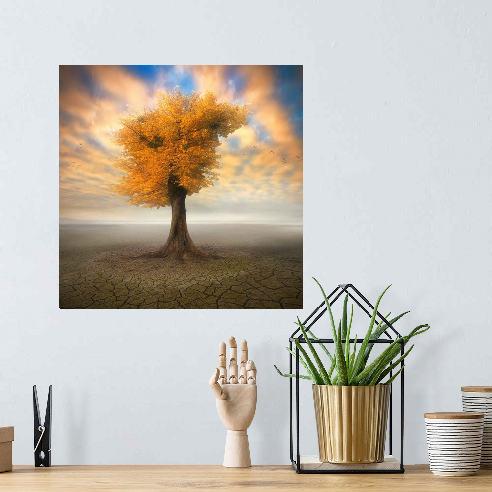 A bohemian room featuring Conceptual image of a tree with fall leaves by itself in an arid desert, with colorful clouds above.