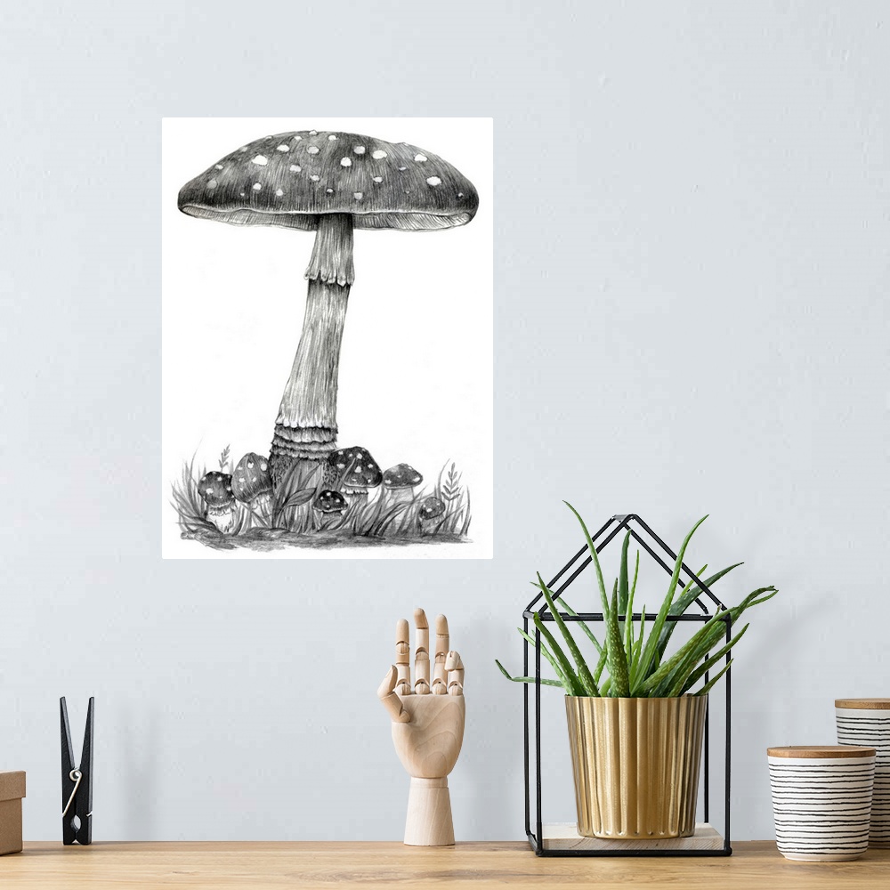 A bohemian room featuring Mushroom