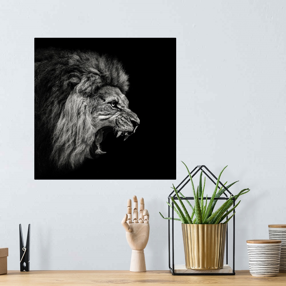A bohemian room featuring Roaring Lion 2