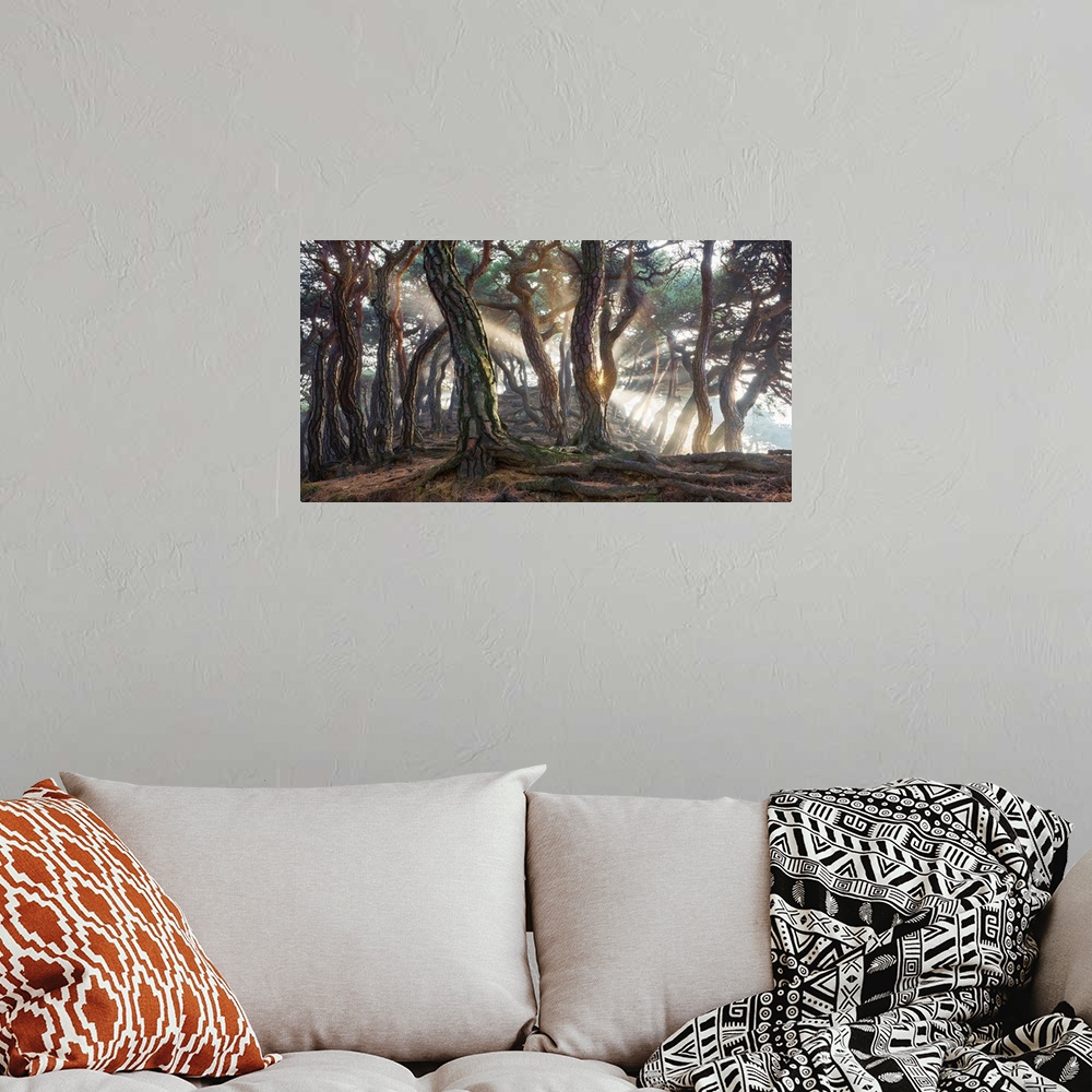 A bohemian room featuring Sacred Pine Trees