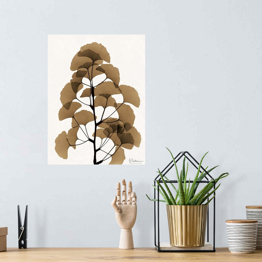 A bohemian room featuring Contemporary x-ray photograph of ginko leaves.