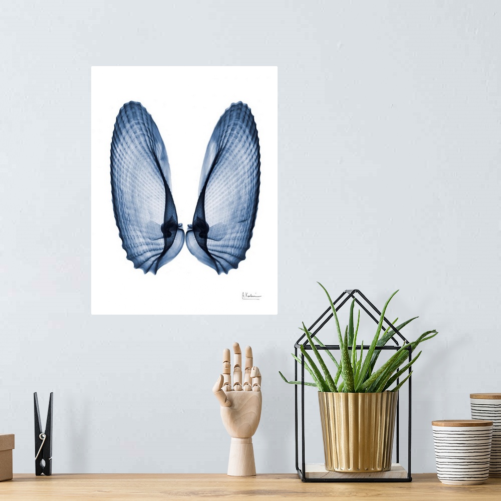 A bohemian room featuring An x-ray photograph of seashells next to each other like angel wings against a white background.